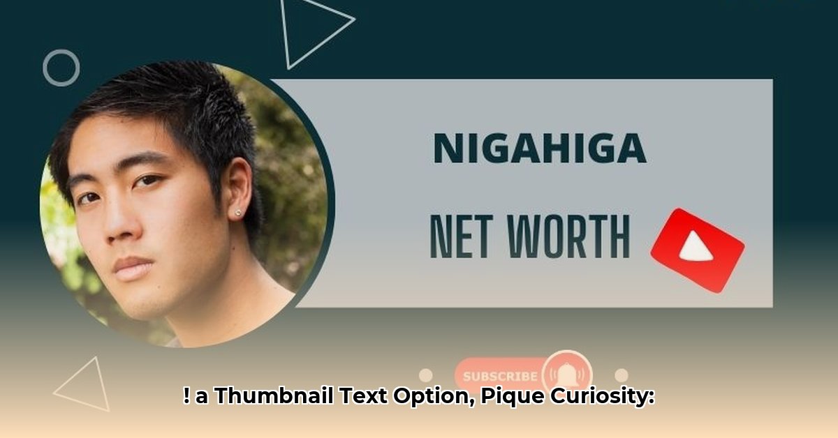 nigahiga-net-worth